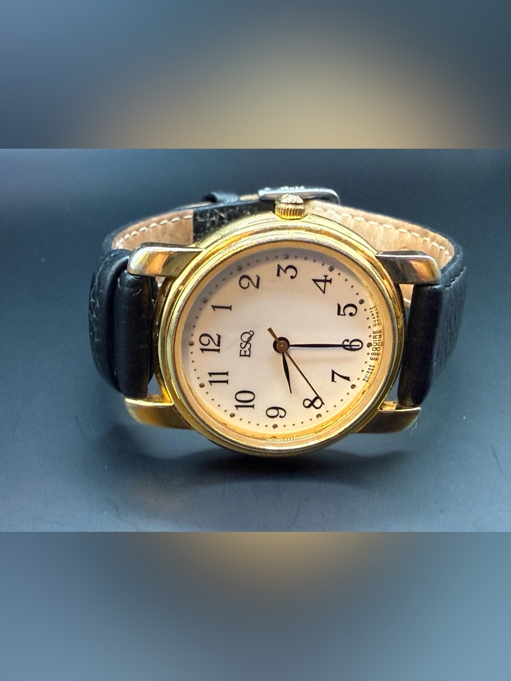 90’s Classic ESQ Gold Tone Genuine Leather Watch